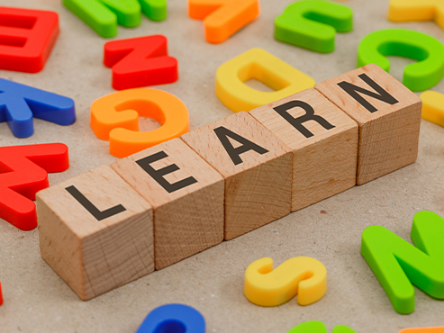 Vocabulary development